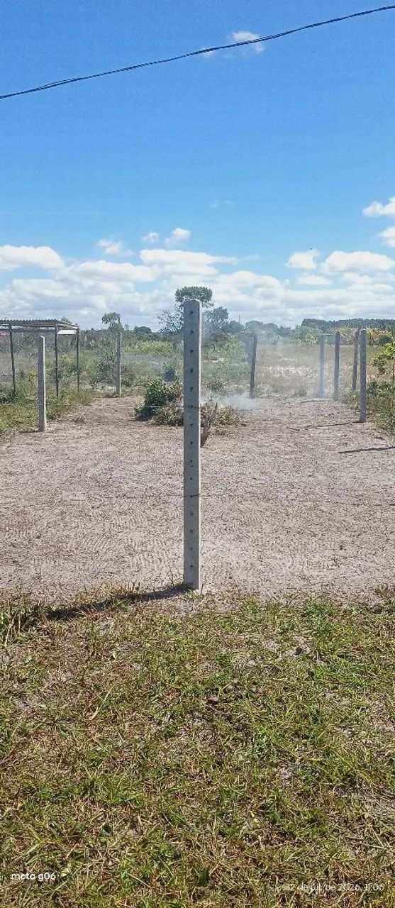 Povoado Angelim 1 rua j santo amaro  - Foto 4