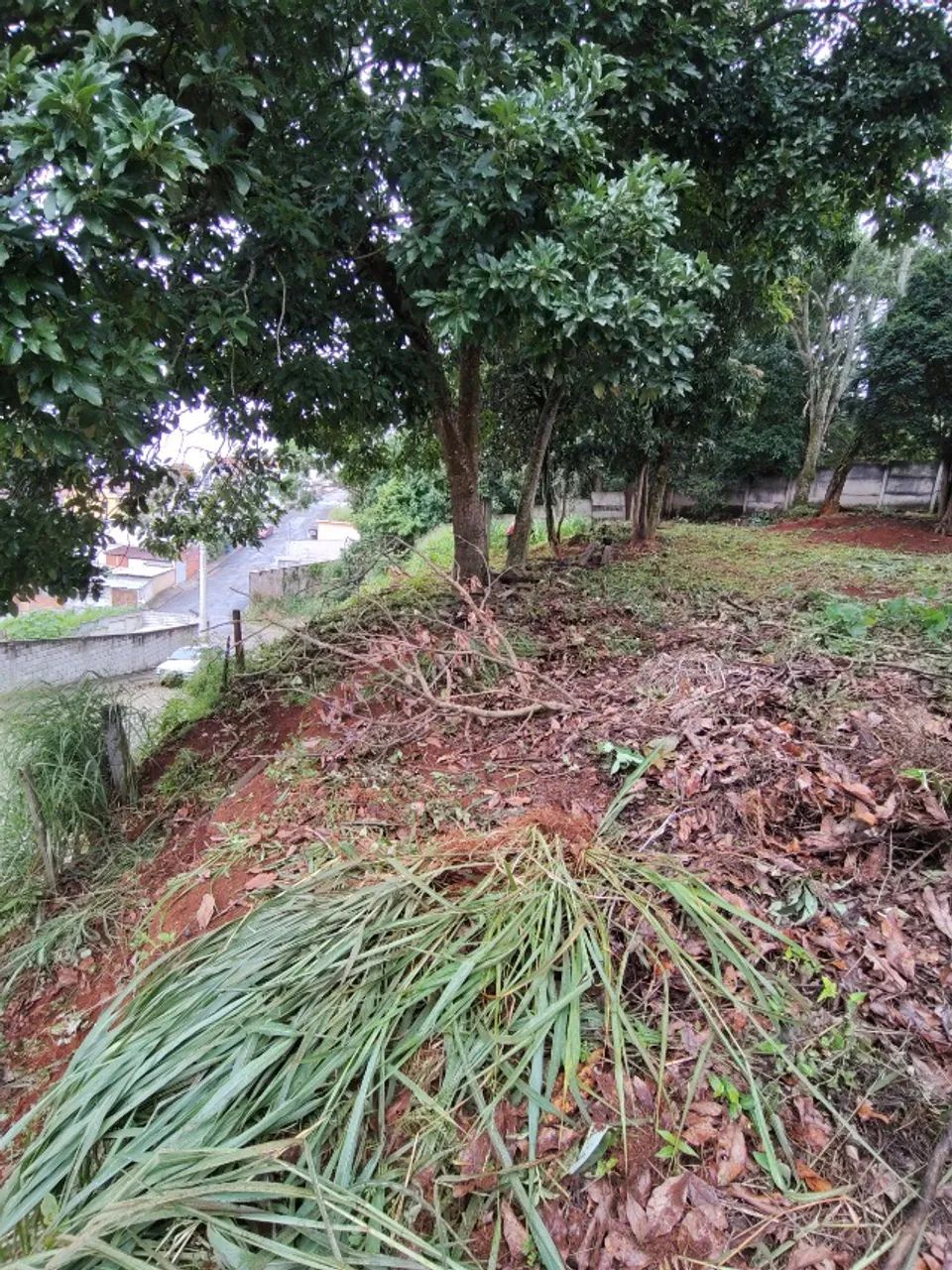 VENDE-SE EXCELENTE LOTE. - Foto 2