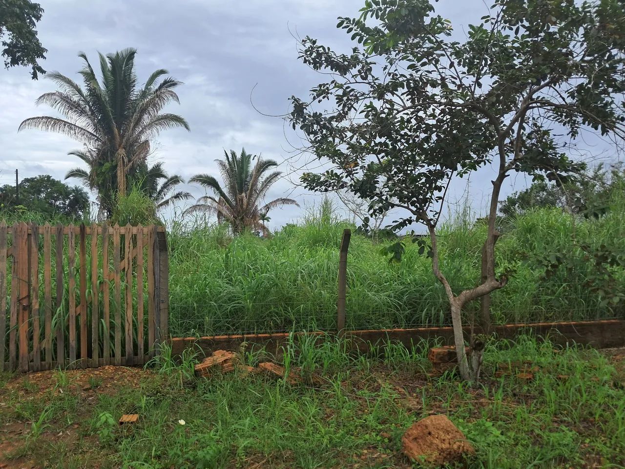 TERRENO EXCLUSIVO COM 5.000 m² | DOCUMENTAÇÃO 100% REGULAR  - Foto 8
