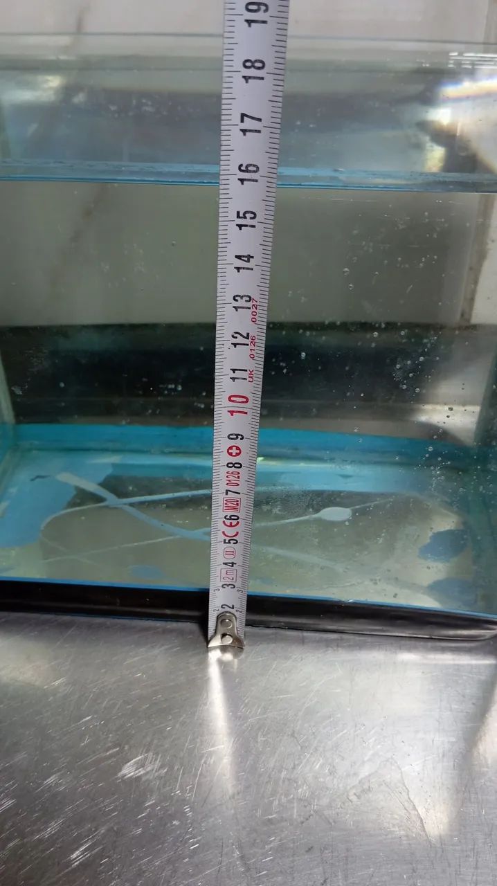 Small Aquarium437443792281937923