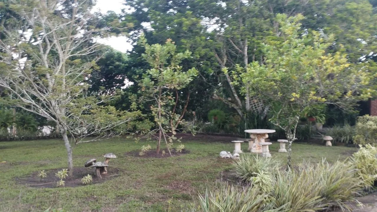 Vendo Sítio no Povoado Aningas São Cristóvão  - Foto 5
