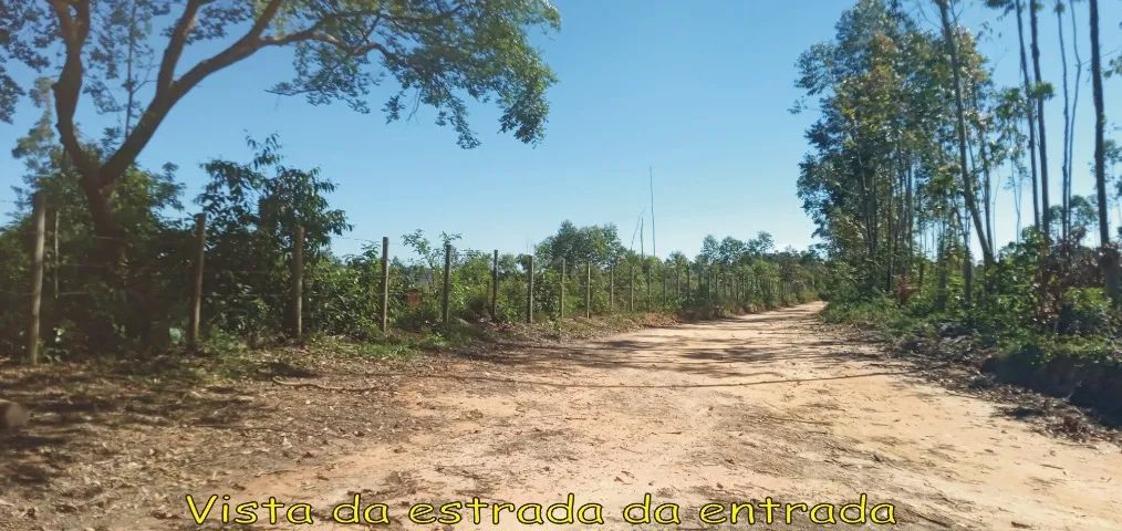Terreno com 20.000 m² em Desterro de Entre Rios  - Foto 2