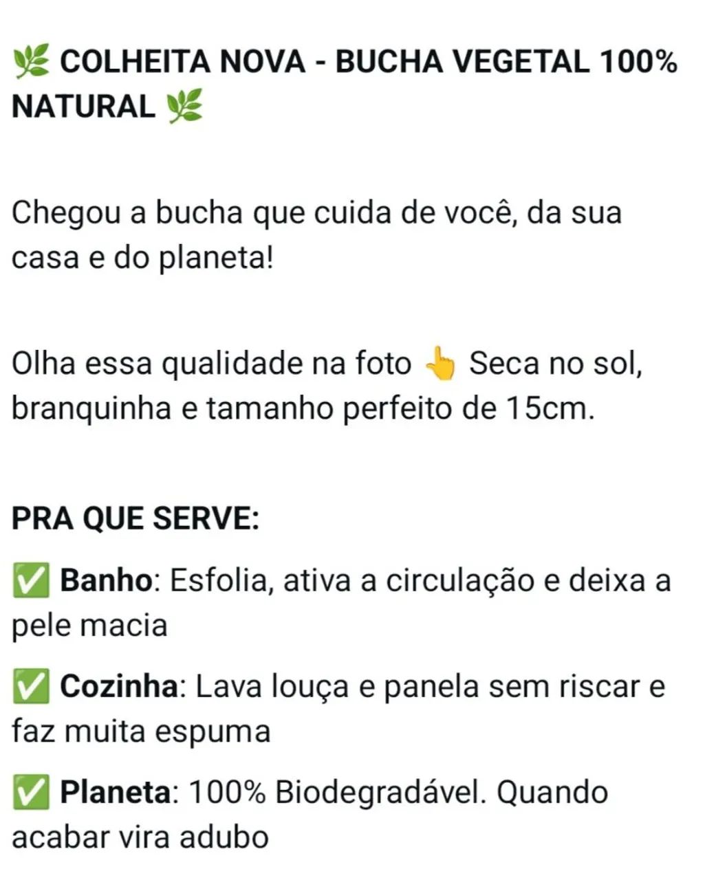 Bucha vegetal natural  - Foto 2