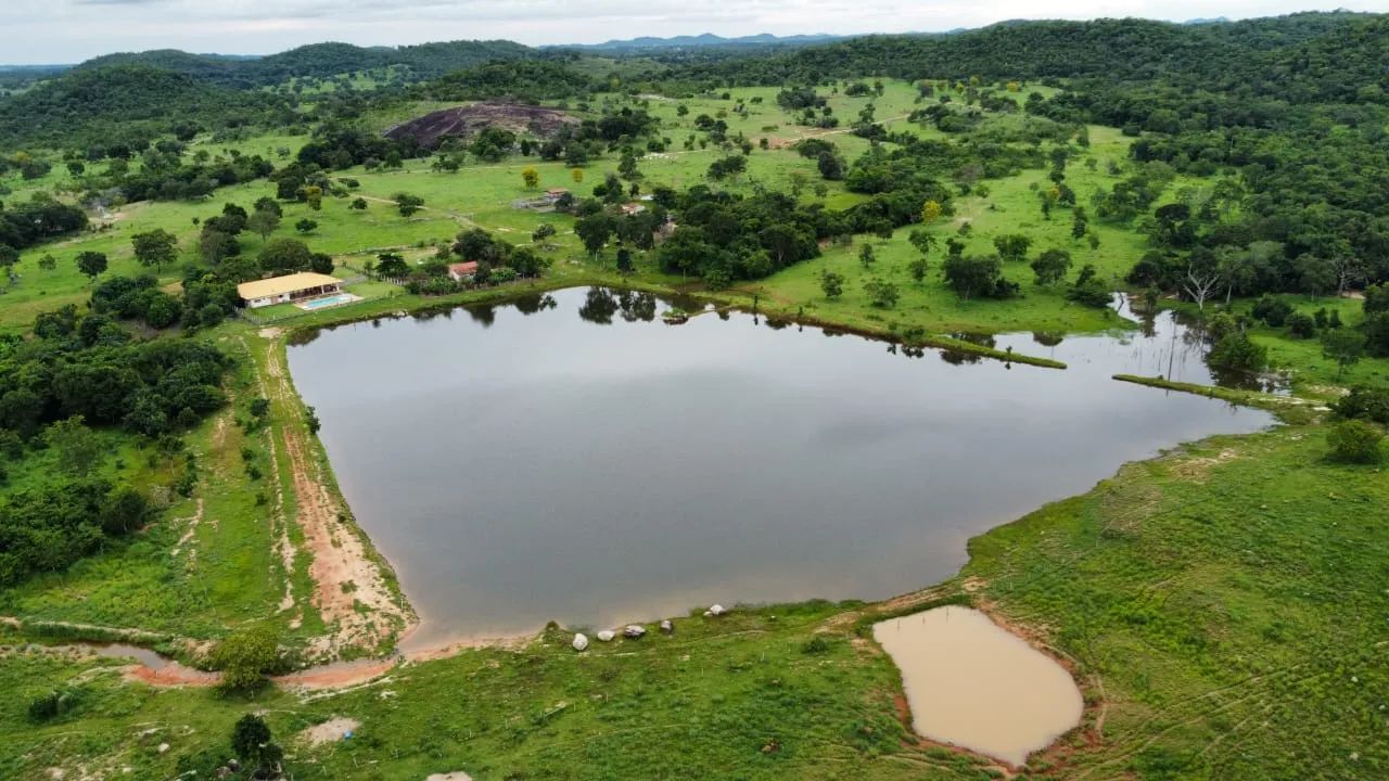 Fazenda - Faina