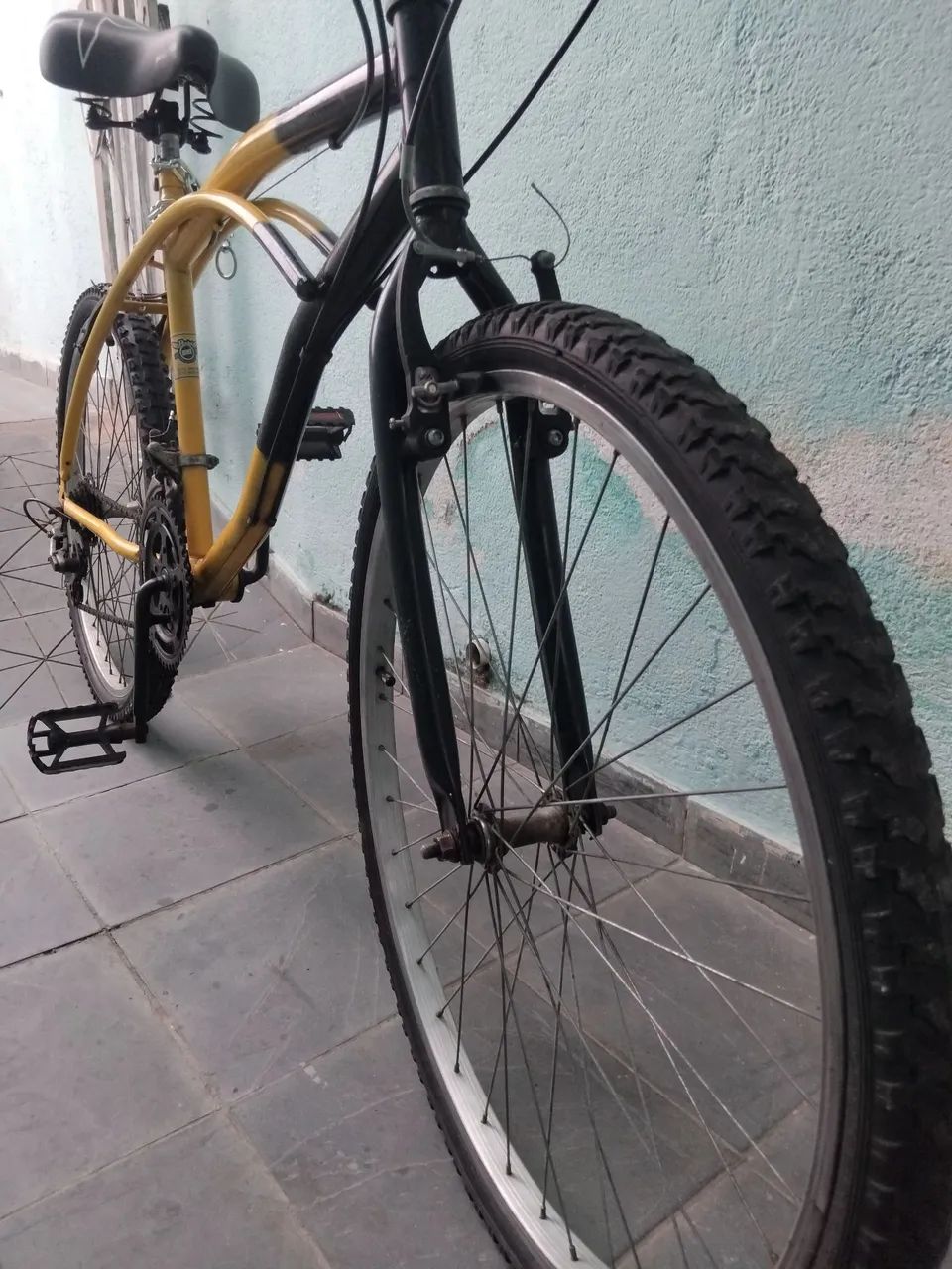 Bicicleta caicara 