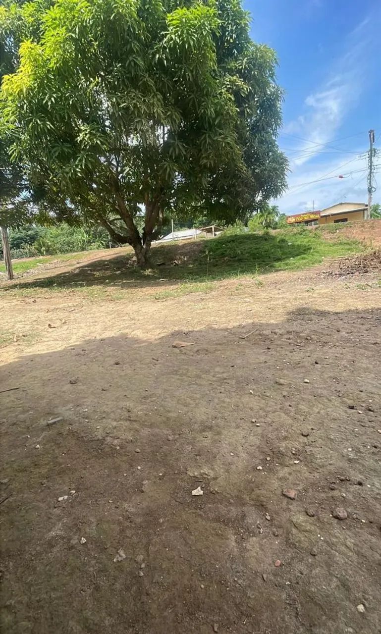 TERRENO COM CASA  - Foto 4