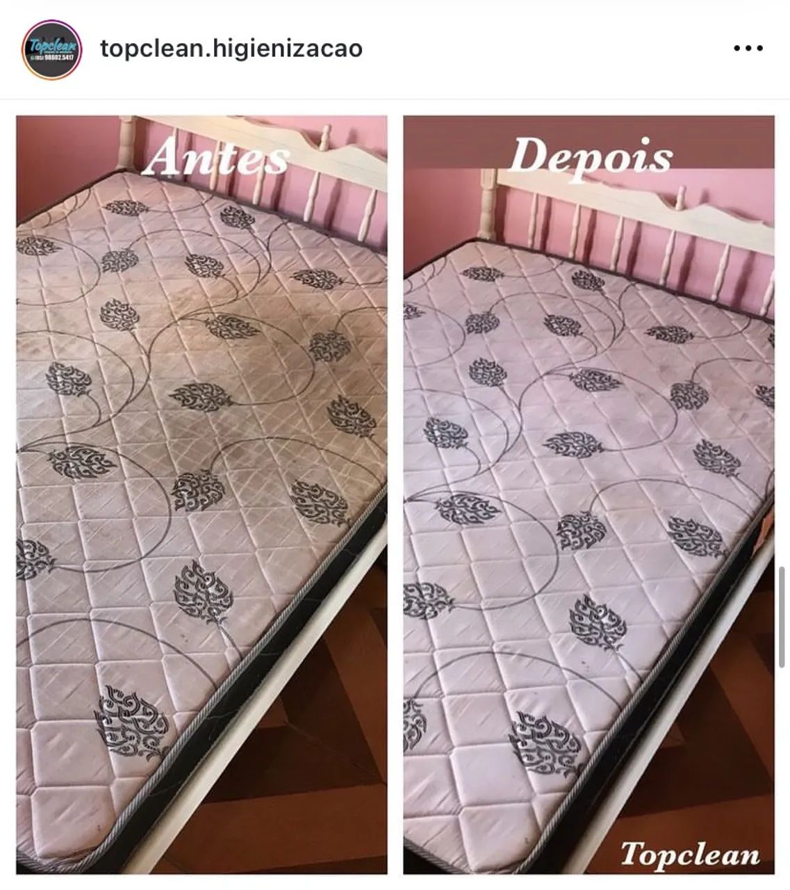LIMPEZA A SECO E HIGIENIZAÇÃO PROFISSIONAL - Foto 2