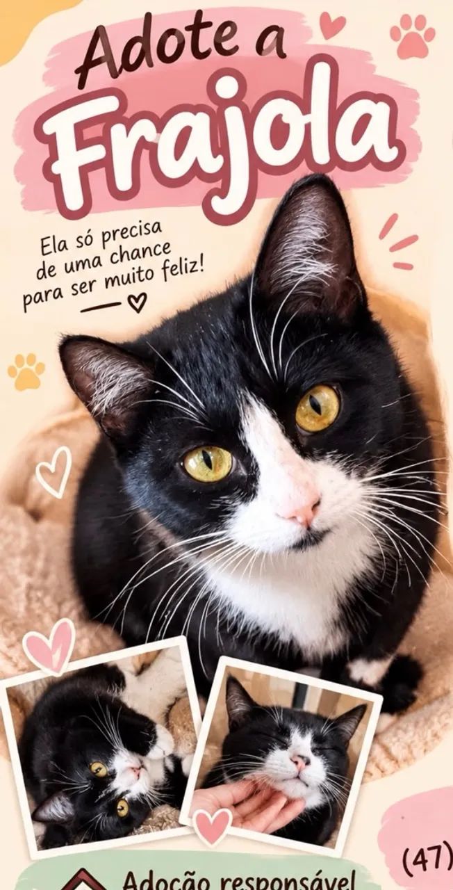 Doação 