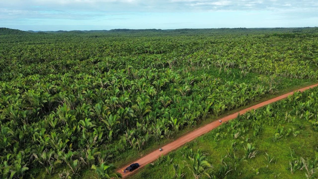 Terra em Presidente Vargas  - Foto 5