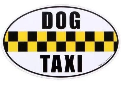 Pet taxi