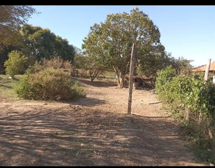 Vendo sítio na cidade de Tatuí SP excelente localização ideal para criação de gado  - Foto 2