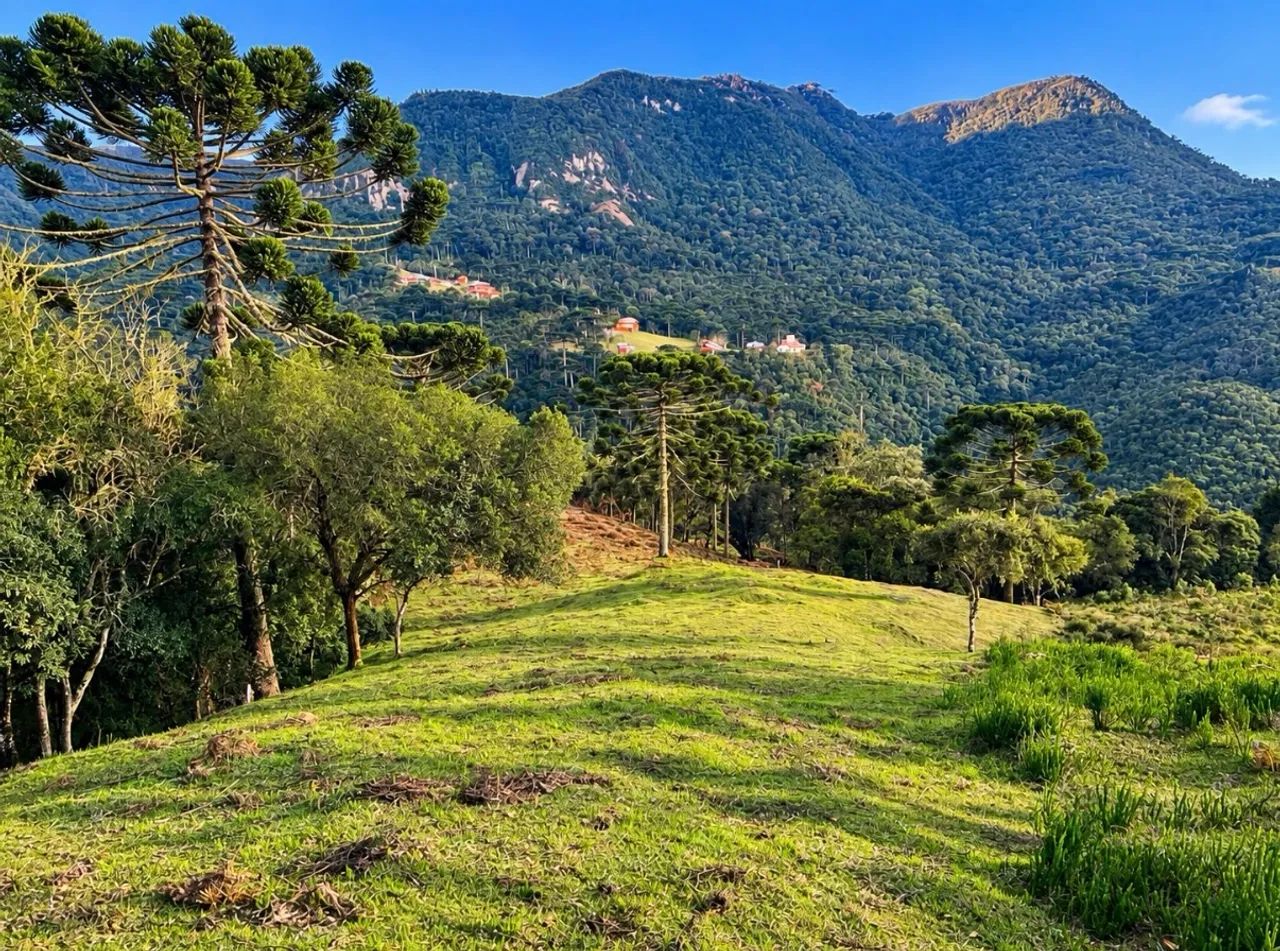 Terreno com 5 hectares em Urubici SC - Foto 5