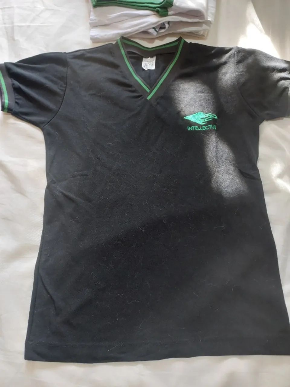 Uniforme intellectus - Foto 2
