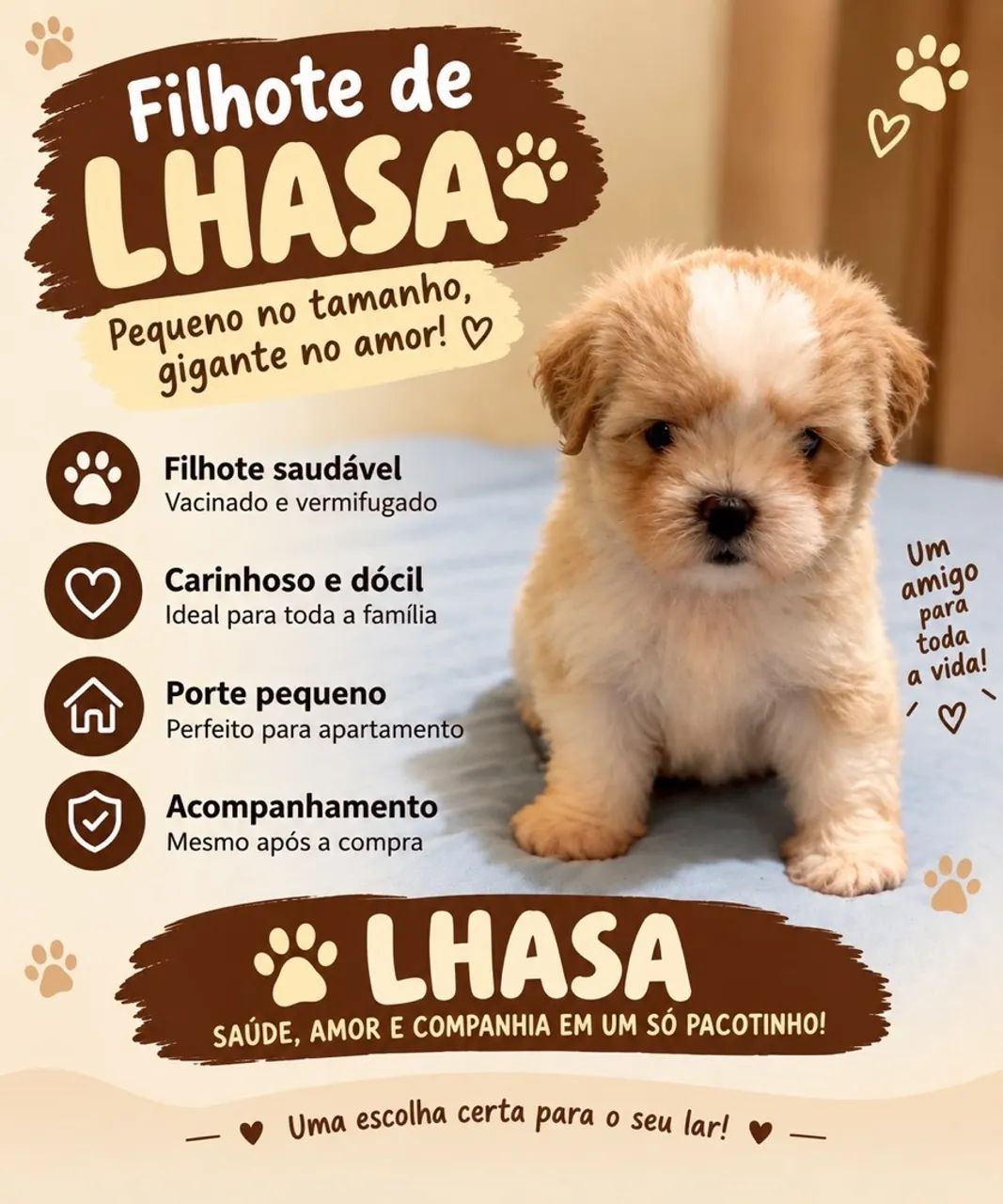Lhasa Apso