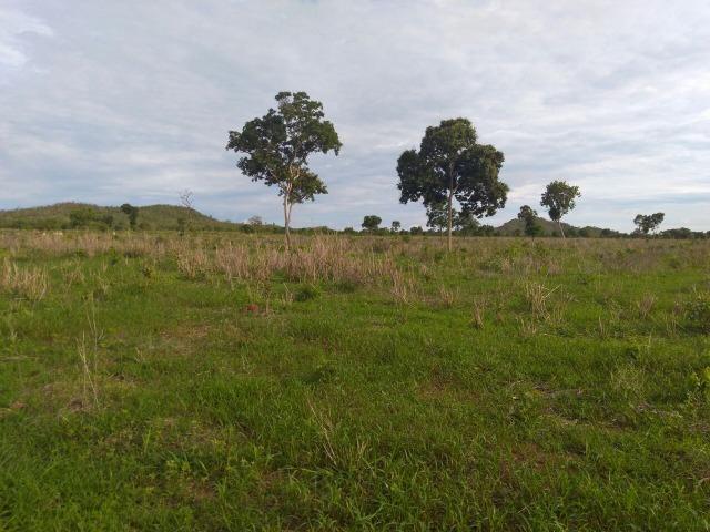 110 Alq. Cocalinho-MT. {Fazenda Diferenciada} R$ 3,5 Milhões - Foto 12