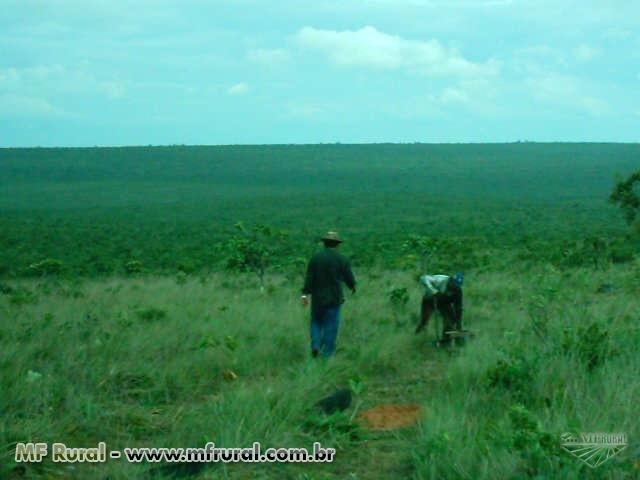 Linda Fazenda em Mato Grosso - em Conquista D´oeste - MT - Foto 7
