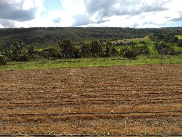 Núcleo rural Taquara DF 230- Planaltina-DF 650.000 - Foto 9
