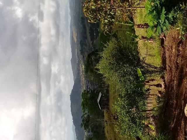 Fazenda monte sinai - Foto 5