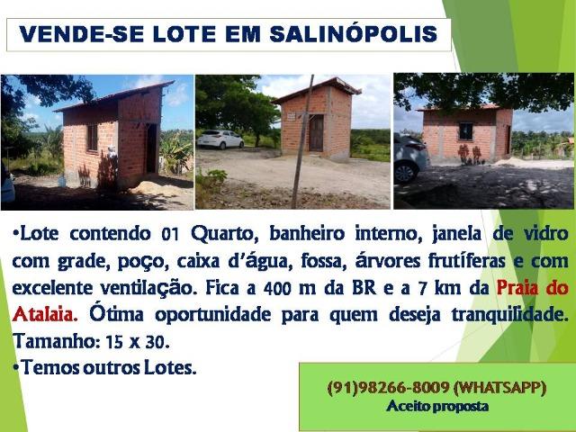 Lote