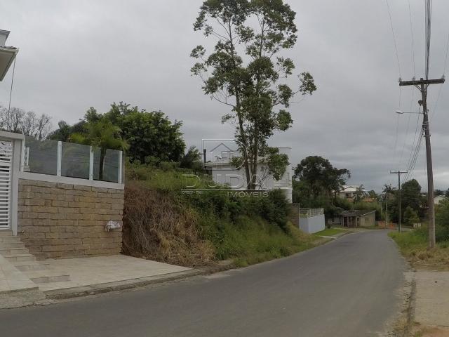 Casa à venda com 3 dormitórios em São luiz, Criciúma cod:25412 - Foto 4