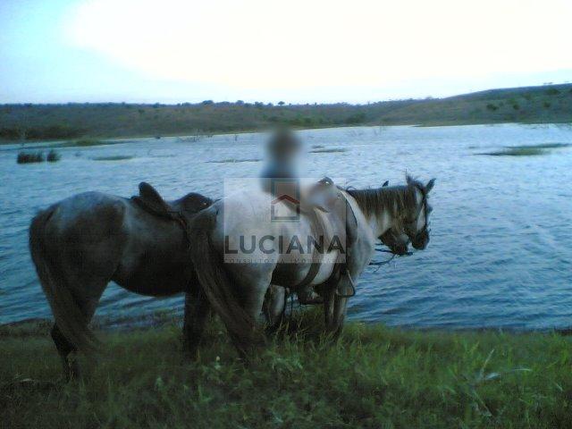 Fazenda com 467 hectares em Limoeiro (Cód.: 103m57) - Foto 14