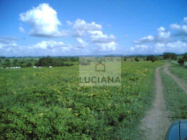 Fazenda com 467 hectares em Limoeiro (Cód.: 103m57) - Foto 6