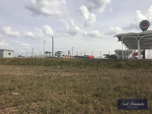 Área para locação, Contorno Leste, São José dos Pinhais. - Foto 12