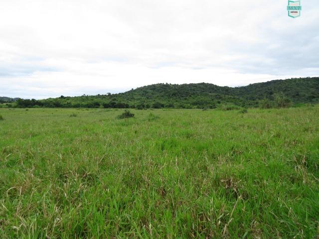 Gongogi - Fazenda pecuária de 655 Hectares toda formada - Foto 11