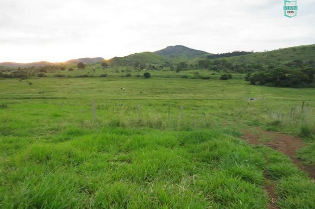 Gongogi - Fazenda pecuária de 655 Hectares toda formada - Foto 3