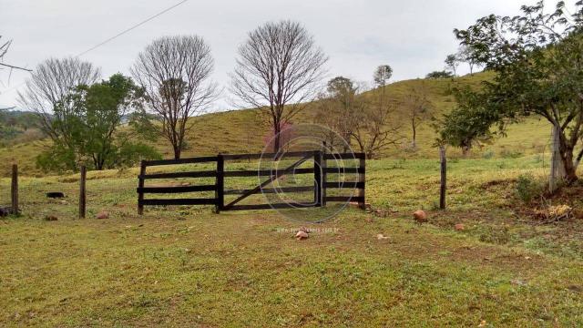 Fazenda com 313 ha região da serra de são vicente - Foto 5