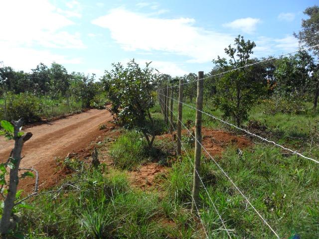 Terreno em três maria com nascente no fundo do terreno