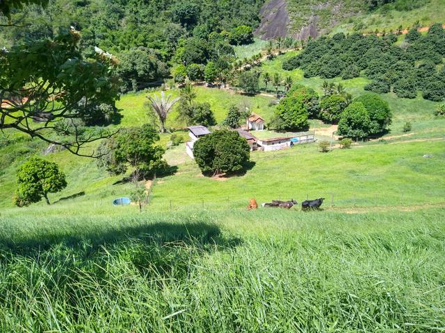 Fazendinha 10 Alqueires Santa Leopoldina - Foto 17