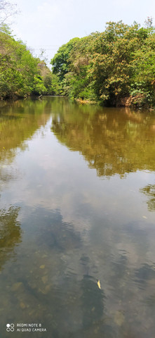 LOTES COM ACESSO AO RIO - Foto 5