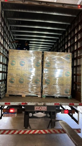 Cargas - Mudanças - Logística - Armazenamento é com a Rota Bahia Transportadora! - Foto 4