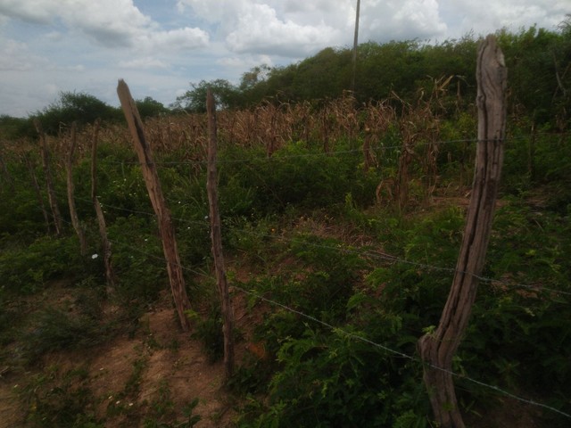 Terreno de 8700m² Zona Rural 