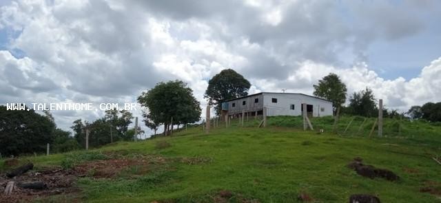 Área Rural para Venda em Francisco Beltrão, Zona Rural - Foto 9