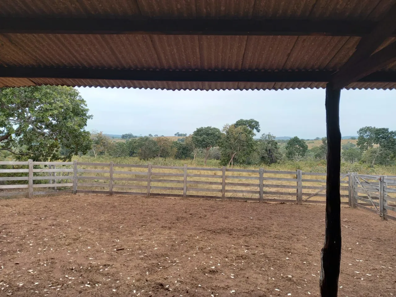 Fazenda 1.013 hectares Reg de Cuiabá, forma 650hect R$:12 milhões