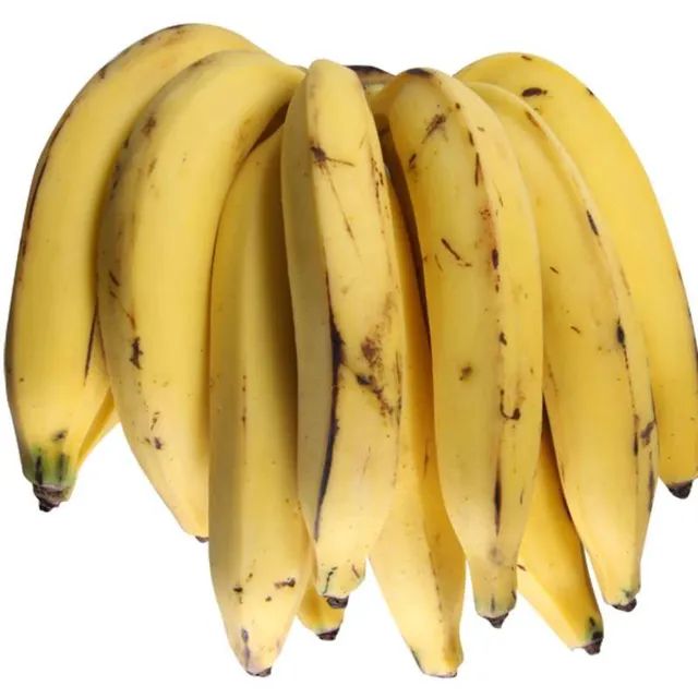 Mudas da banana Terra de fritar  a  rainha  da cozinha  - Foto 2