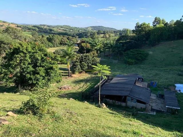 Sítio  - Foto 5