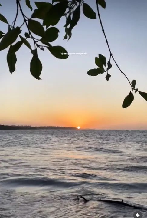 praia Mangue Seco - Foto 10