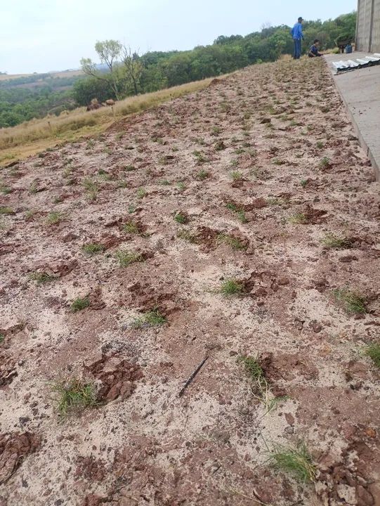 Bermuda celebration a melhor do mercado  - Foto 2