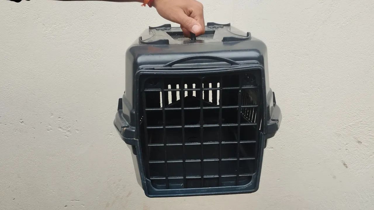Caixa de transporte para animais pequenos 