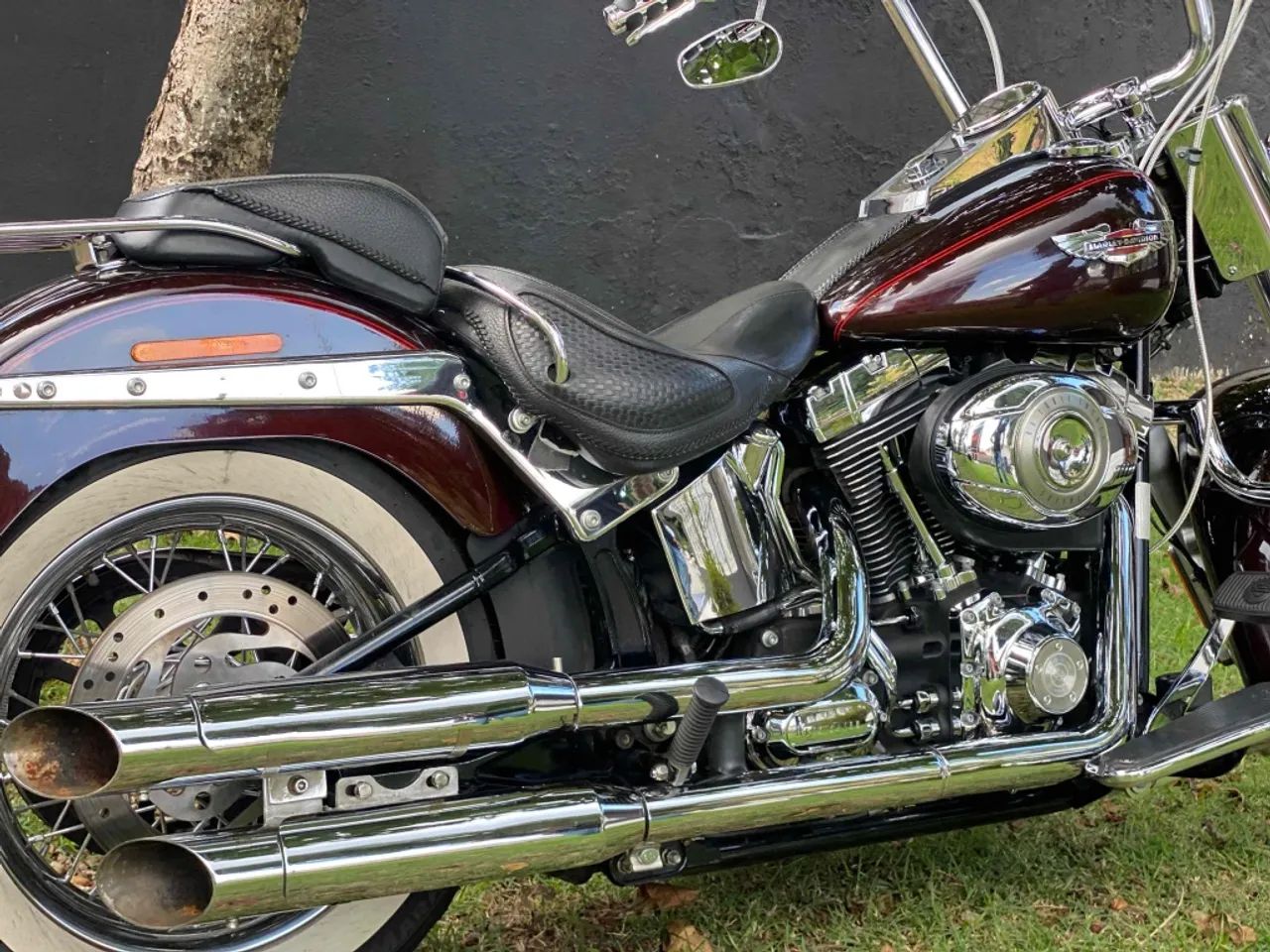 Harley-davidson Softail deluxe  flstn 2011 - Foto 3