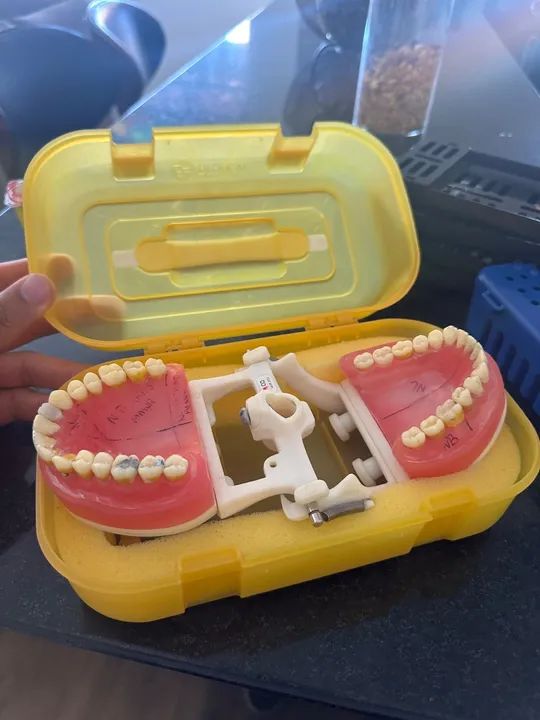 Manequim odontologia 