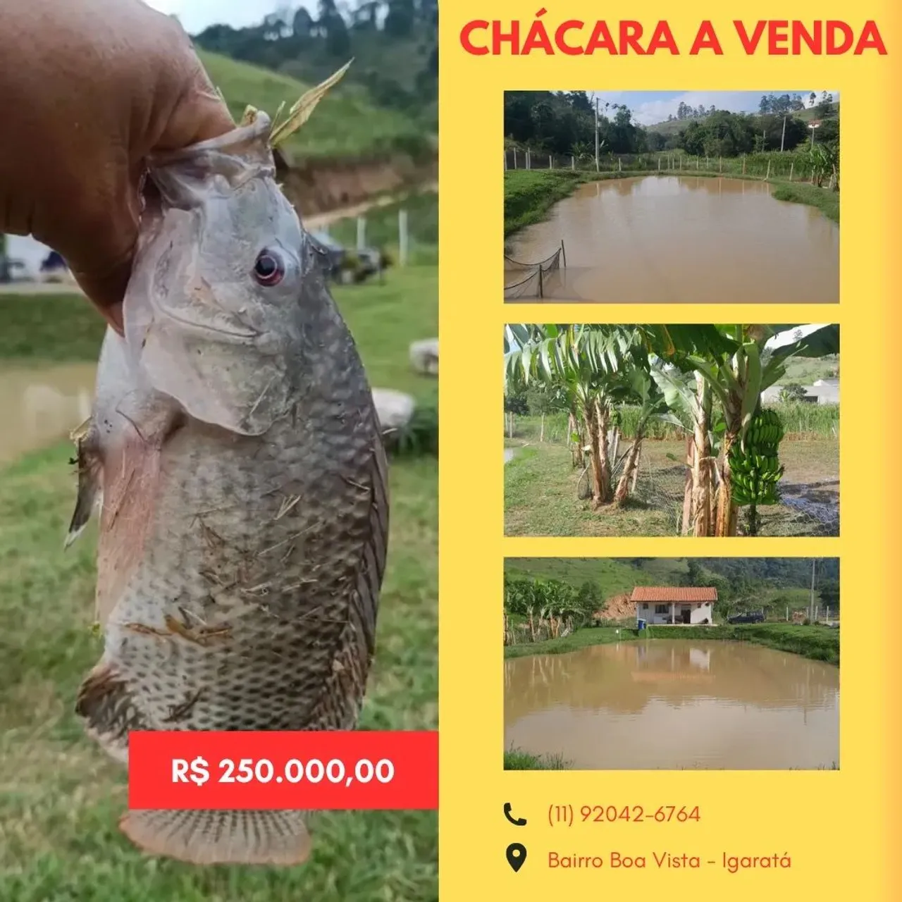 Oportunidade de Chacara fora de condomínio e com lago