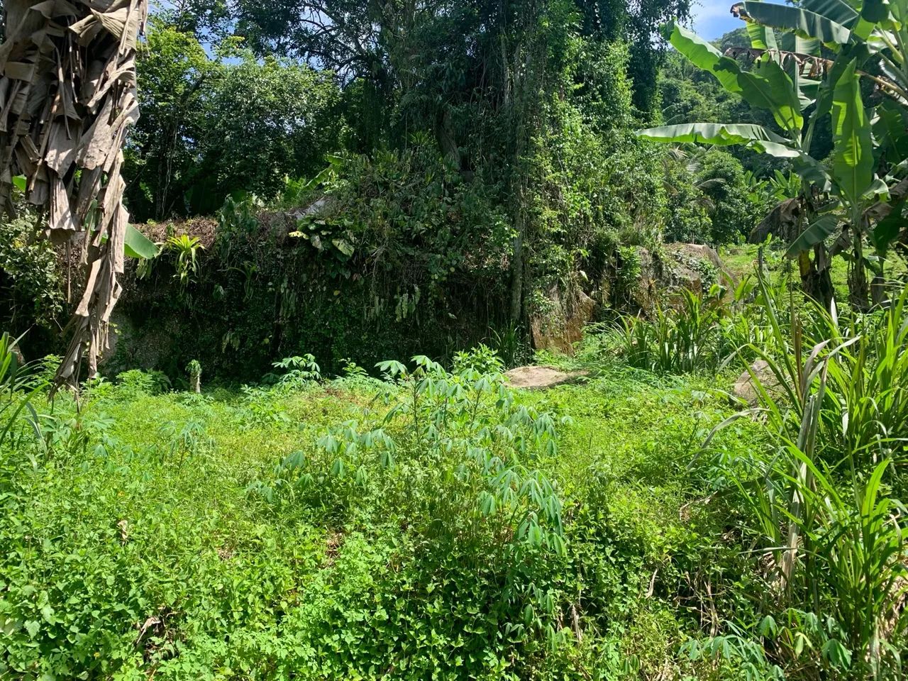 Terreno em Taquari - Paraty - Foto 14