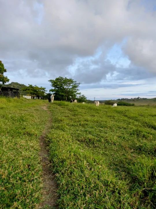 Fazenda em São Luiz, 160 hectares a 30 mil o hectar