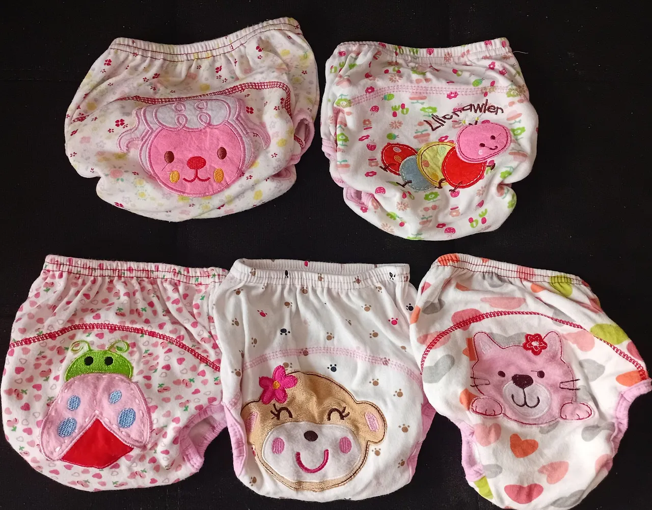 Kit 5 Calcinhas Desfralde até 3 anos