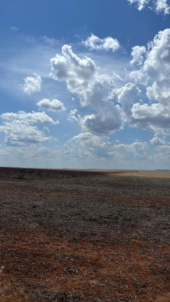 Fazenda arrendamento 630 hec em nova Motum MT. - Foto 3