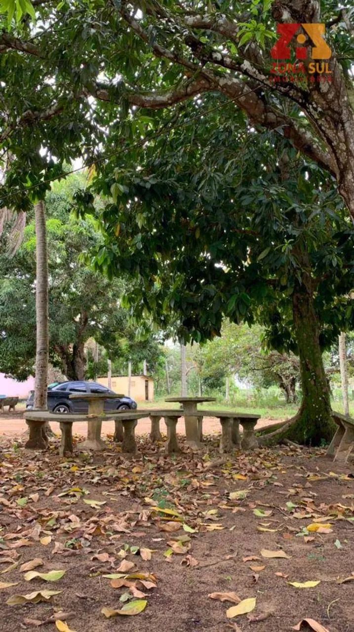 Sítio Rural à venda, Centro, Alhandra - . - Foto 4